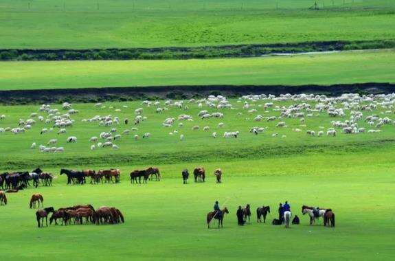 《还看今朝》大美内蒙古亮丽风景线何只是马牛羊……