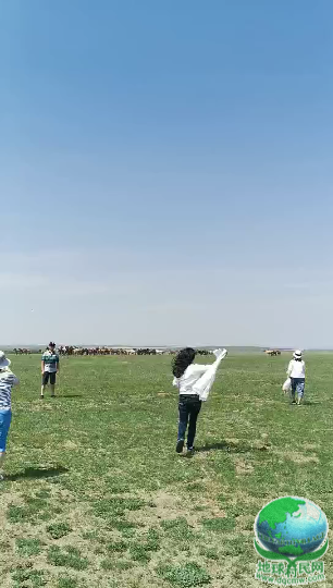 房车文化万里行 邂逅草原牧马群 —在蒙古国温都尔汗大草原