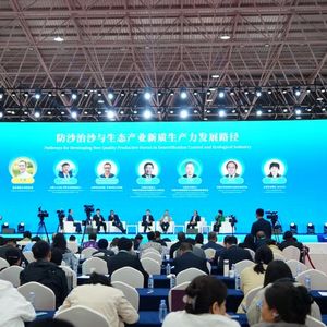 殷玉珍：让我们的沙漠品牌，真正走向世界！