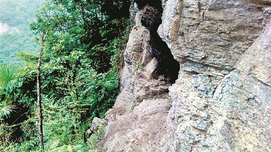 湖北女“山顶洞人”抛弃丈夫儿女穴居绝壁六年(图)