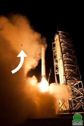 美NASA火箭发射升空 青蛙被爆炸气流吹上天(图)