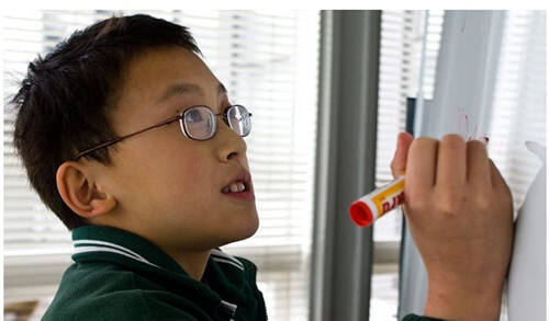 新西兰华裔神童在澳洲数学竞赛中获国际大奖（图）