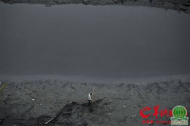 深圳茅洲河污染严重臭气扑面