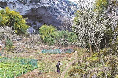 亚洲惟一“穴居部落”：距贵阳市161公里(组图)